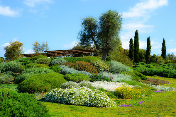 Dry Garden, il giardino secco bisognoso di poca acqua