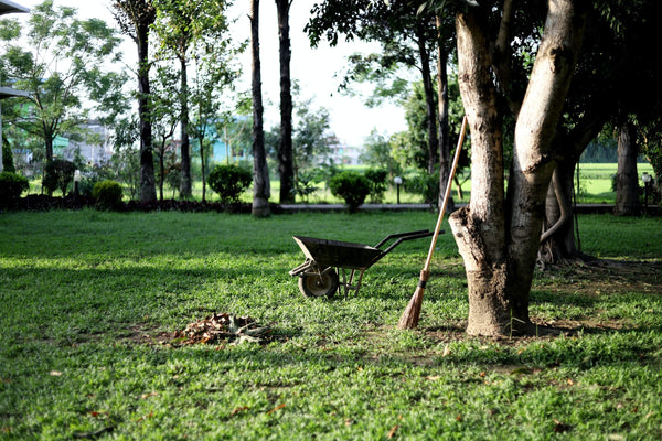 Realizzazione di un giardino con Bonus Verde